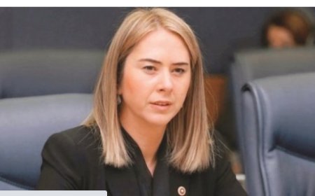 Ceyda BÖLÜNMEZ ÇANKIRI - 28. DÖNEM İZMİR MİLLETVEKİLİ