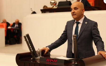 Mahir POLAT - 28. DÖNEM İZMİR MİLLETVEKİLİ