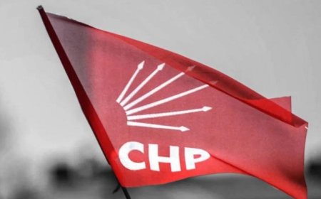CHP'li başkan yardımcısından flaş açıklama: Erken genel seçim olacak mı?