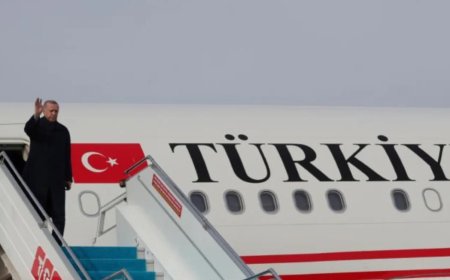 Erdoğan Cezayir'e gitti