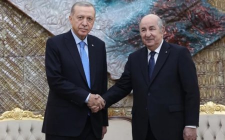Cumhurbaşkanı Erdoğan Cezayir'de konuştu: İsrail'in saldırıları savaş suçu teşkil ediyor