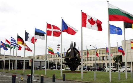 Reuters: Türkiye NATO'ya İsveç'in üyelik onayının bakanlar toplantısına yetişmeyeceğini bildirdi