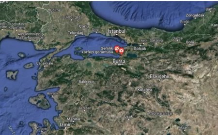 İstanbul'da da hissedilen 5,1 şiddetindeki Gemlik depremi: Uzmanlardan ilk tepkiler