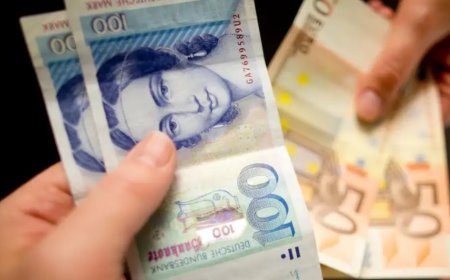 Bu yıl Euro'ya çevrilen Mark miktarı 53 milyonu geçti