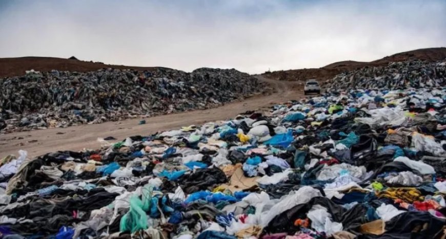 Avrupa Birliği satılmayan giysi ve ayakkabıların imhasını yasakladı