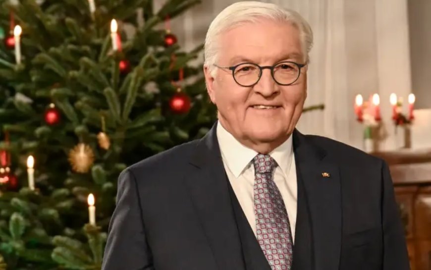 Steinmeier'den demokrasiye sırt çevirmeyin çağrısı