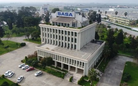 Sasa Neden Düşüyor?