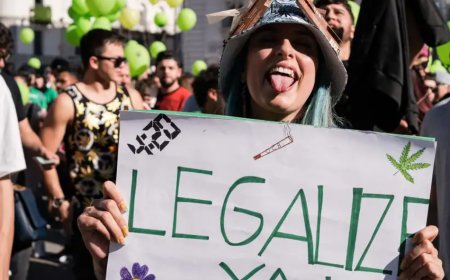 Almanya'da esrarın yasallaşması önünde engel kalmadı