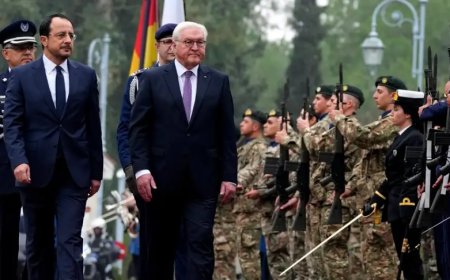 Hristodulidis Steinmeier'den destek istedi