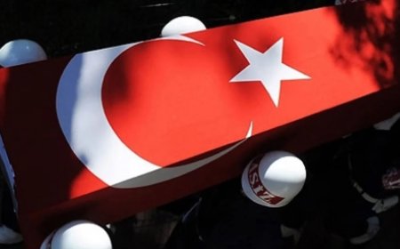 MSB: 1 asker şehit