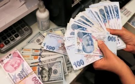 Dolar 31 lira ile rekor tazeledi