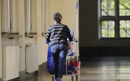 Almanya'da göçmen kökenliler en çok temizlik işi yapıyor
