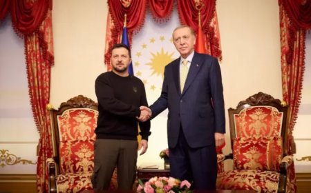 Ukrayna lideri Zelenskiy, Erdoğan ile görüştü