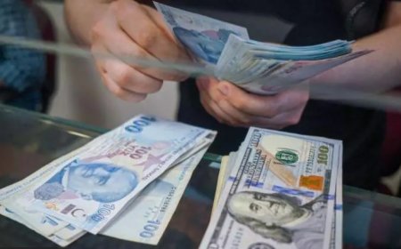 Dolar/TL 31,95'le rekor kırdı, Euro/TL ilk kez 35'i aştı