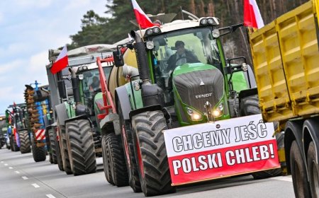 AB Ukrayna'ya gümrük muafiyetini kısıtladı