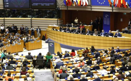 Avrupa Parlamentosu'nun az farkla onayladığı Yeni Göç ve İltica Paktı ne öngörüyor?