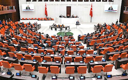 Milletvekili Olmak İçin İlk Adımlar