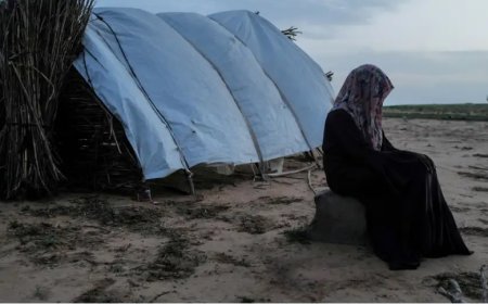 BM raporu: Çatışma bölgelerinde cinsel şiddet arttı