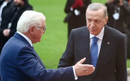 Almanya'da Steinmeier'e "Erdoğan ile açık konuş" çağrısı