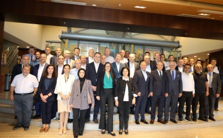 Türkiye'nin Kuru İncir İhracatında Rekor Büyüme