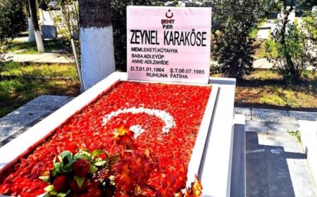 Şehitlik kararı iptal edilen aile AYM'ye başvurdu