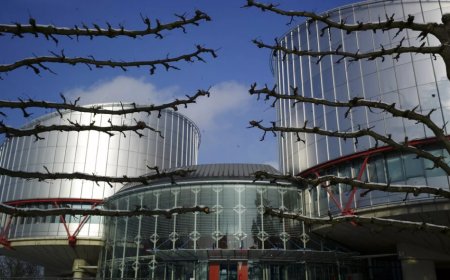 AİHM, ByLock bağlantılı 1000 'hak ilhali başvurusu' için daha Türkiye'den görüş istedi