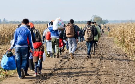 Usulsüzlük iddiaları Avrupa Sayıştayı'nın raporunda