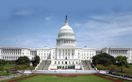 Amerika'da neden genç siyasetçiler başkanlığa aday olamıyor?