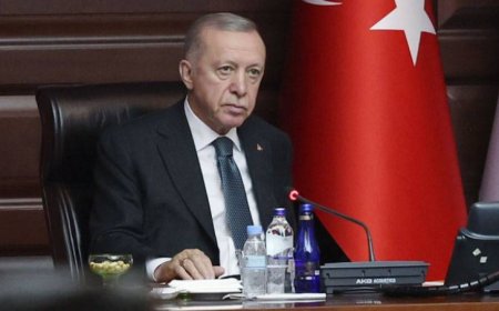 Erdoğan'dan milletvekillerine "ıstakoz" ve "Rolex" tepkisi
