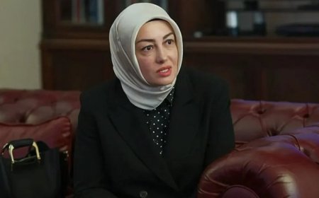 Sinan Ateş'in eşi Ayşe Ateş tetikçinin kaçırıldığı çakarlı araç hakkında konuştu