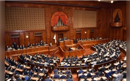 Japonya Temsilciler Meclisi'nden PKK kararı: 'Dikkatle izlememiz gerekiyor...'