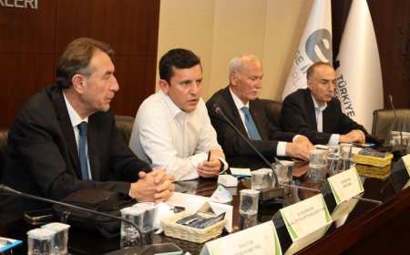 Türk Zeytinyağı Sektöründen Ortak Çıkış: İhracat Yasağı Kaldırılsın