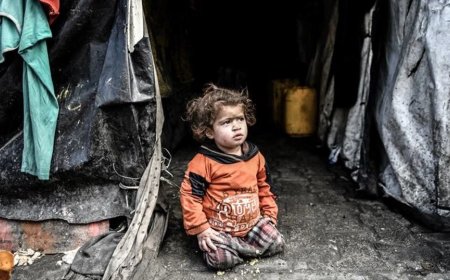 Gazze'de İnsanlık Dramı: Küresel Tepkiler ve Olası Sonuçlar