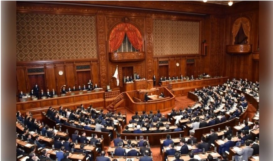 Japonya Temsilciler Meclisi'nden PKK kararı: 'Dikkatle izlememiz gerekiyor...'