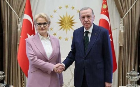 Sürpriz görüşme ile ilgili iddia: Akşener oğlu için Erdoğan’dan ne istedi?
