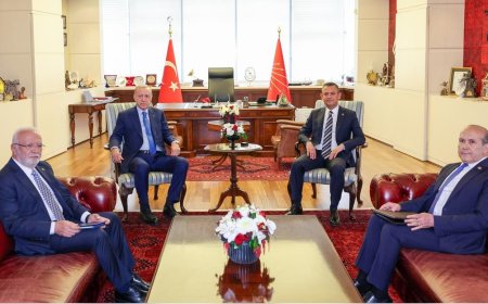 Erdoğan-Özel görüşmesinde hangi konular gündeme geldi?