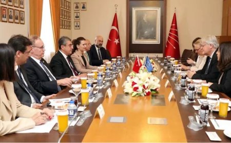 AKPM Türkiye Raportörü Schennach, CHP ve DEM Parti'yle heyetleriyle görüştü