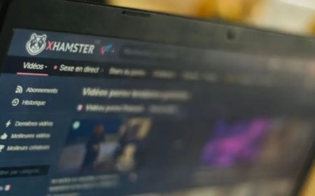 Porno sitesi xHamster Hollandalıların izinsiz görüntülerini üç gün içinde kaldırmak zorunda
