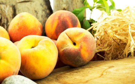 Peach and Nectarine Exports Soar Towards $250 Million
