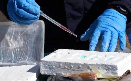 Almanya’da 39 ton kokain ele geçirildi: Tutuklanan 7 kişi arasında Türk vatandaşı da var