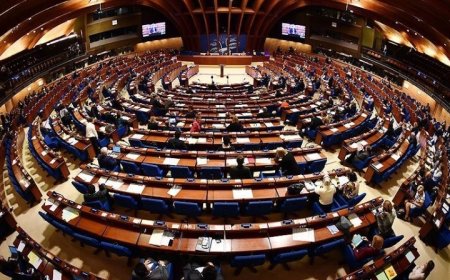 Avrupa Konseyi, AİHM kararlarını uygulama çağrısını yineledi