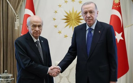 Erdoğan, Bahçeli ile görüşecek