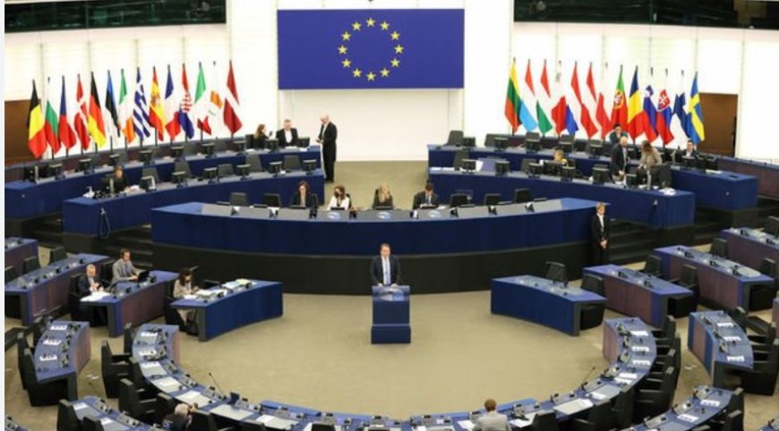 Avrupa Parlamentosu seçimleri neden önemli?