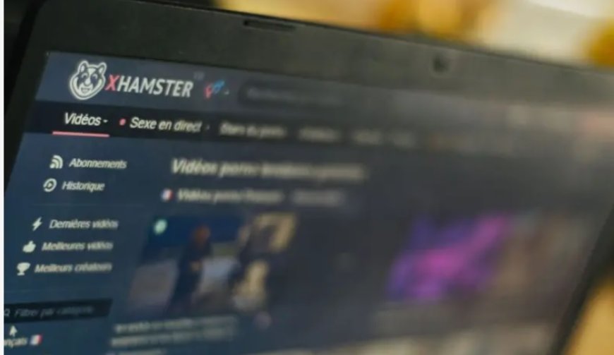 Porno sitesi xHamster Hollandalıların izinsiz görüntülerini üç gün içinde kaldırmak zorunda