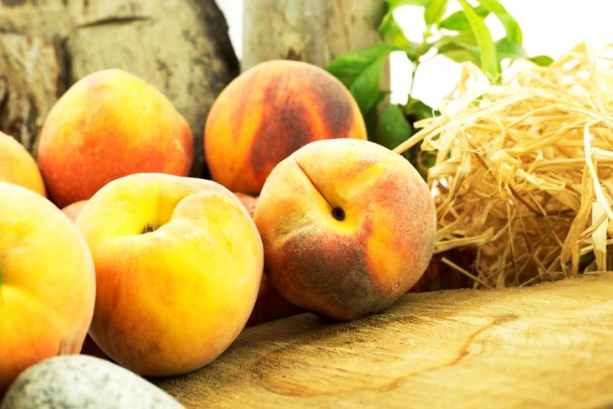 Peach and Nectarine Exports Soar Towards $250 Million