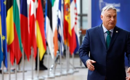 AB karşıtı Orban, AB’nin başında: Macaristan dönem başkanlığı Türkiye-AB ilişkilerini etkiler mi?