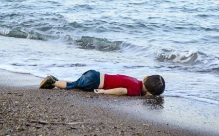 Eyyüp Kadir İnan: "Aylan Bebeği Unutmadık, Unutmayacağız"