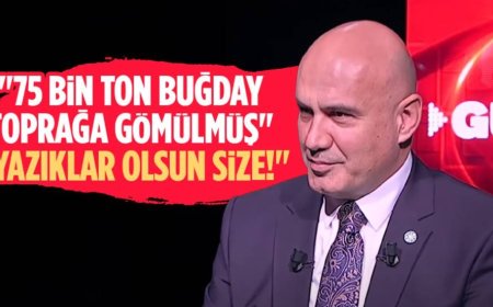 TMO'nun Buğday Skandalı: Türk Çiftçisinin Ürünleri Çürüyor, İthalat Devam Ediyor