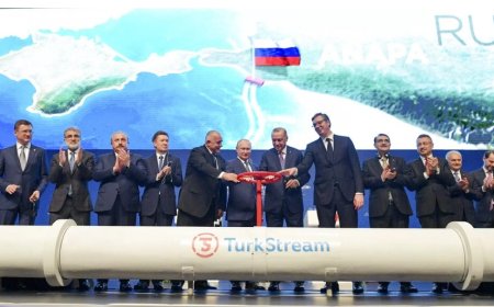 Elektrik Mühendisleri Odası: Rosatom’un 2. nükleer santrali, Türkiye'yi Rusya'ya bağımlı kılar