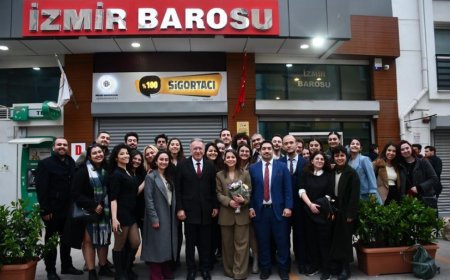 Sokak Hayvanları Sahipsiz Değildir: Hayvan Haklarına Büyük Darbe